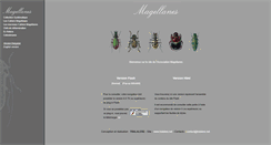 Desktop Screenshot of magellanes.net