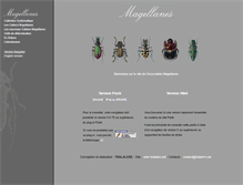 Tablet Screenshot of magellanes.net